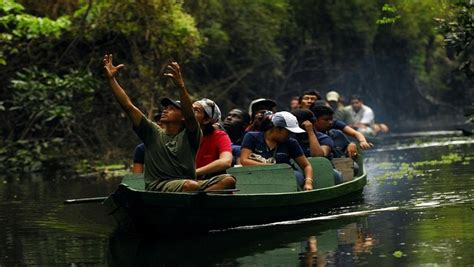 Amazônia gigante bioma verde que incentiva o turismo de natureza pelo