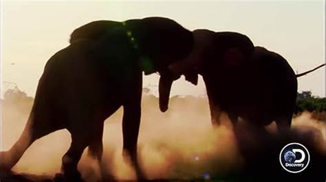 Naked And Afraid Stomping Grounds TV Episode 2019 IMDb