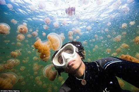 Kuasai Tips Praktis Foto Underwater Ini Biar Jepretanmu Makin Keren