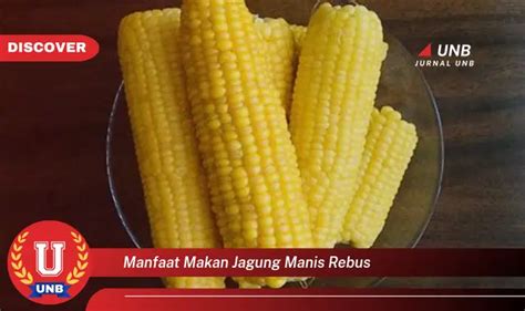 Temukan 6 Manfaat Makan Jagung Manis Rebus Yang Jarang Diketahui