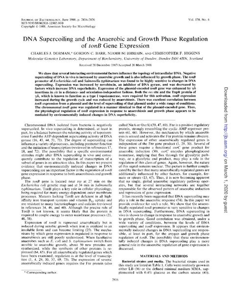 Pdf Dna Supercoiling Andthe Anaerobic And Growth Phase Regulation