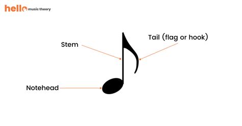 The Different Parts Of A Music Note