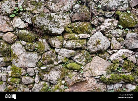 Mossy Stone Brick Texture