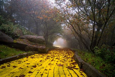 Yellow Brick Road Wallpapers Wallpaper Cave