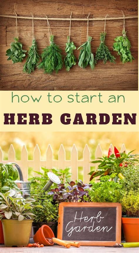 Easy Herb Garden Ideas For Beginners