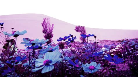 Flower Png Landscape By Theartist100 On Deviantart