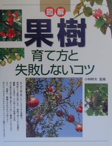 楽天ブックス 図解果樹育て方と失敗しないコツ 小林幹夫（1955 ） 9784791610174 本