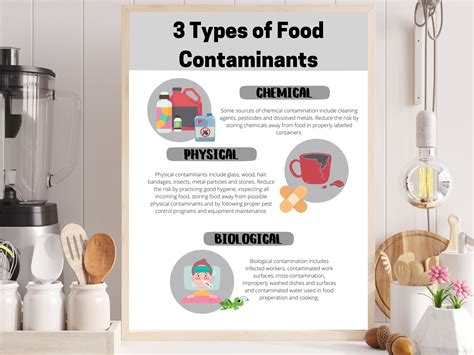 Three Types Of Food Contaminants Safety Poster Food Safe Chart