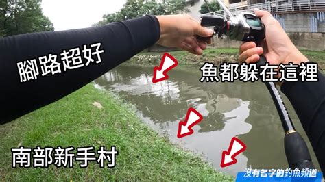 【沒有名字的釣魚頻道】腳路超好的南部新手村 魚都躲在岸邊 拿假餌前打就咬去了😱村長 Fishing 釣魚 泰國鱧 鳳山溪 高雄釣魚