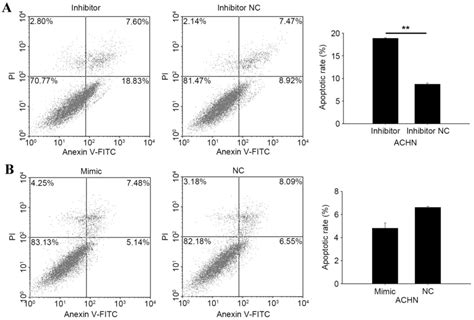 Identification Of Mir‑195‑3p As An Oncogene In Rcc