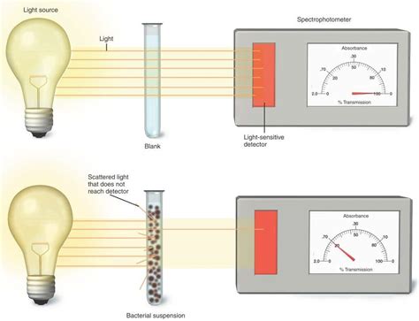 How To Measure Microbial Growth