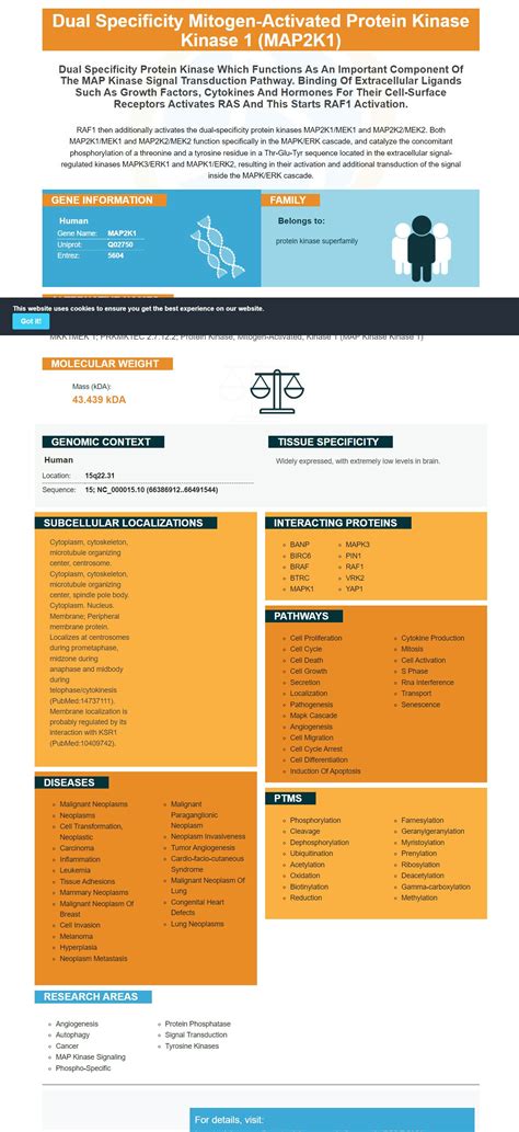mapk antibodies elisa kits mapk proteins