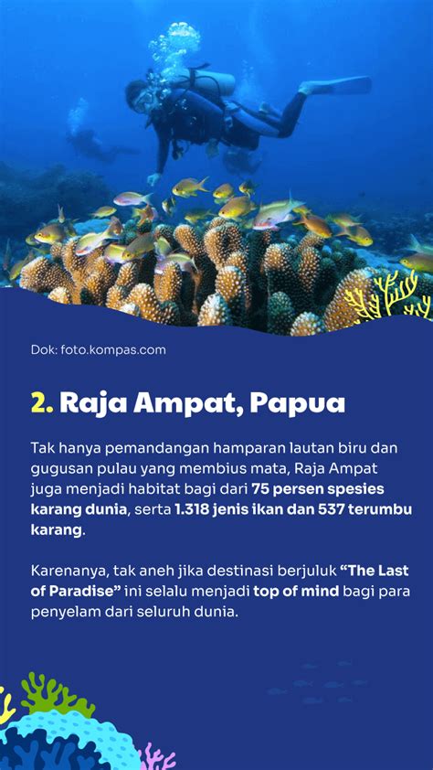 5 Spot Diving Terbaik Di Indonesia