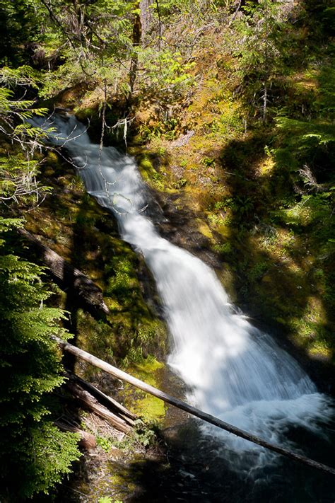 Upper Parker Falls Lane County Oregon Northwest Waterfall Survey