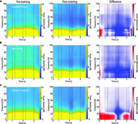 Induced Lfp Power Spectrum For Feature Stimuli Lfp Spectral Power