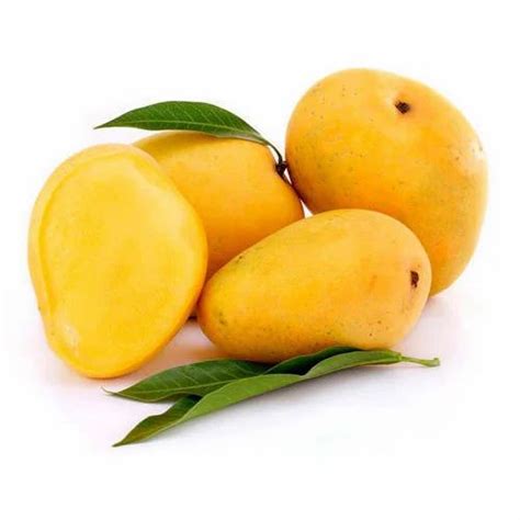 Yellow Totapuri Mangoes Packaging Size 10 Kg At Rs 25000 Metric Ton