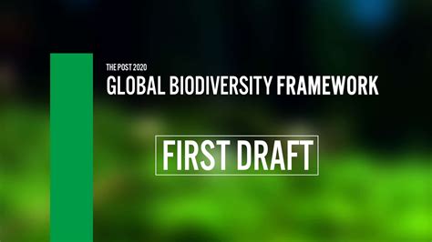 First Draft Of Global Biodiversity Framework Identifies Four Goals For