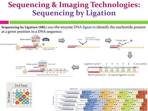 Next generation sequencing | PPT