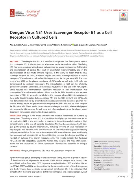 PDF The Dengue Virus Non Structural Protein 1 NS1 Uses The