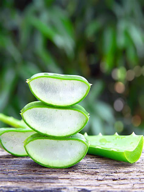 Aloe Vera Todos Sus Beneficios Y Propiedades