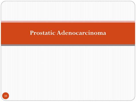 PPT - Prostate Pathology PowerPoint Presentation, free download - ID ...