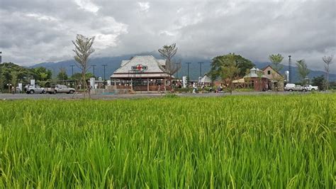 The Good View Village Chiang Mai