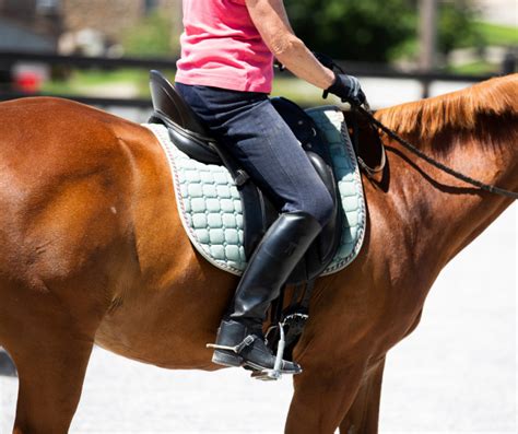 How To Use The Right Cue At The Right Time Horseclass