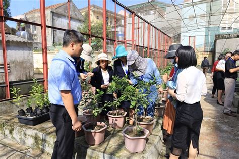 Training Course Enhances Capacity Of Plant Protection Officers In The