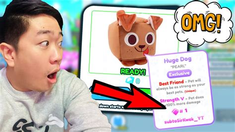 I Redeemed A Huge Dog Plushie Code And Got Very Lucky In Pet Simulator