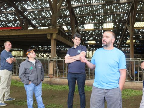 Jura Agriculture Avec La Pluie Faire Les Foins Devient Un Casse Tête