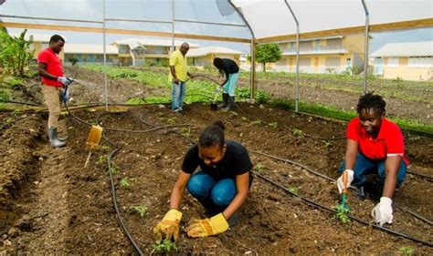 Youth Showing Interest In Agriculture Gis