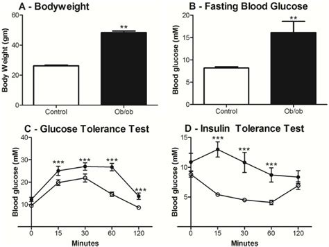 Body Weight Fasting Blood Glucose Glucose Tolerance Test GTT And