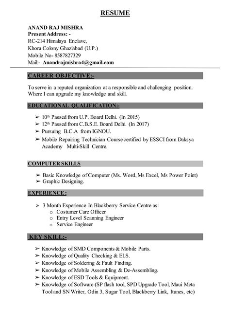 Anand Raj Mishra Resume Pdf