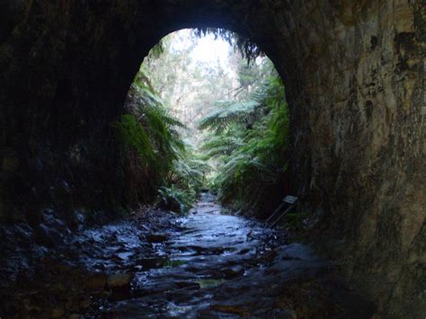 The Glow Worm Tunnel Walk Walking Track