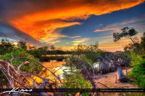 Mangrove Sunset At Intracoastal Waterway Hdr Photography By Captain Kimo