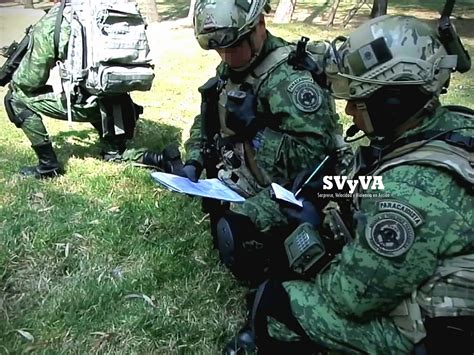 Mexican Army Airborne Brigade Special Forces Or Also Known As Special