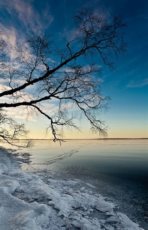 North Shore Of Clear Lake Riding Mountain National Park Manitoba