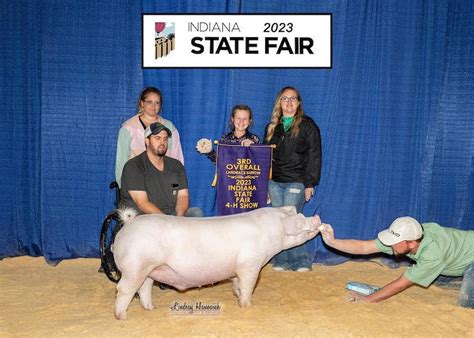 3rd Overall Landrace Barrow 2023 Indiana State Fair Jr Show