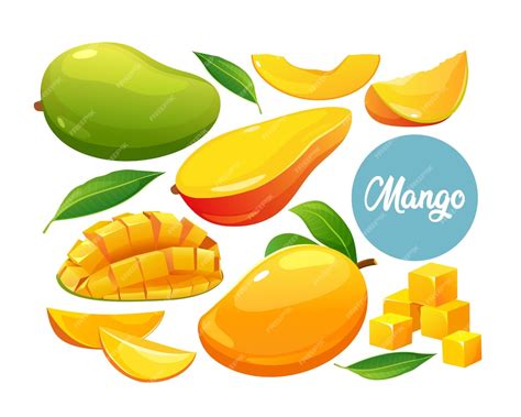 Premium Vector Set Of Fresh Whole Half And Cut Slice Mango Fruits