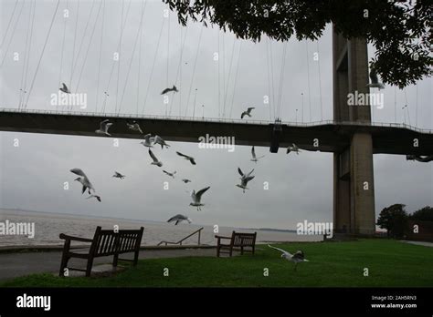 The Humber Bridge Stock Photo - Alamy