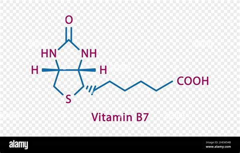 Vitamin B7 Chemical Formula Vitamin B7 Structural Chemical Formula