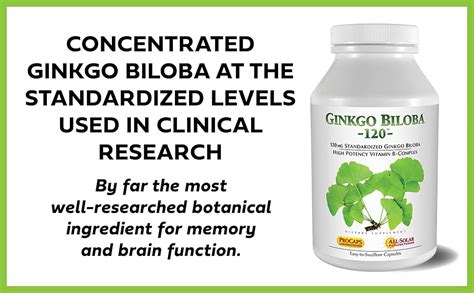 Andrew Lessman Ginkgo Biloba 120 30 Capsules Standardized Extract To Maintain Flow