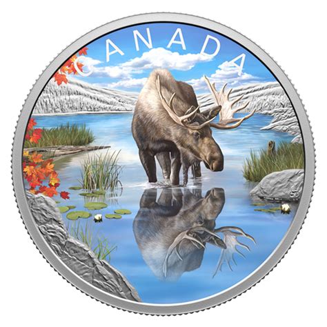 Pure Silver Coin – Wildlife Reflections: Moose | The Royal Canadian Mint