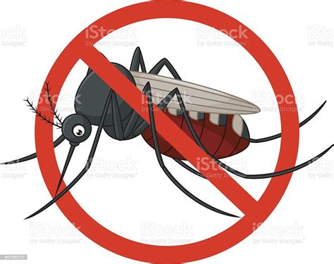 Stop Mosquito Cartoon Stock Illustration Download Image Now Animal