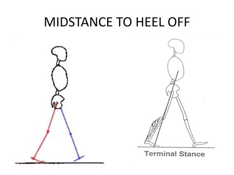 Gait biomechanics | PPT