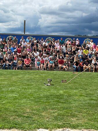 Adler Arena Burg Landskron Lohnt Es Sich Mit Fotos