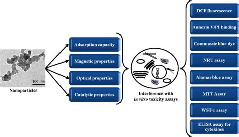 Toxicity Assessment Of Nanomaterials Methods And Challenges