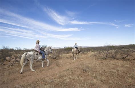 Tombstone Monument Ranch | Visit Arizona