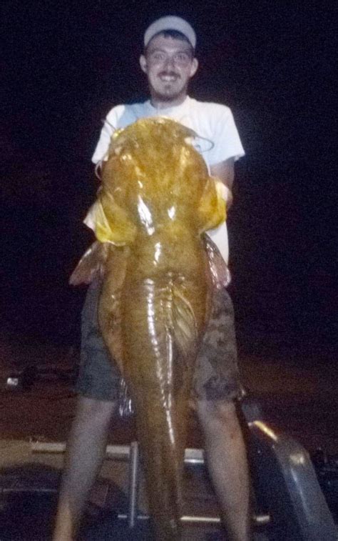 Fwc Certifies New State Record Flathead Catfish Coastal Angler The