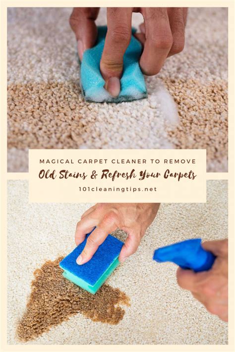 Homemade Carpet Cleaner Artofit